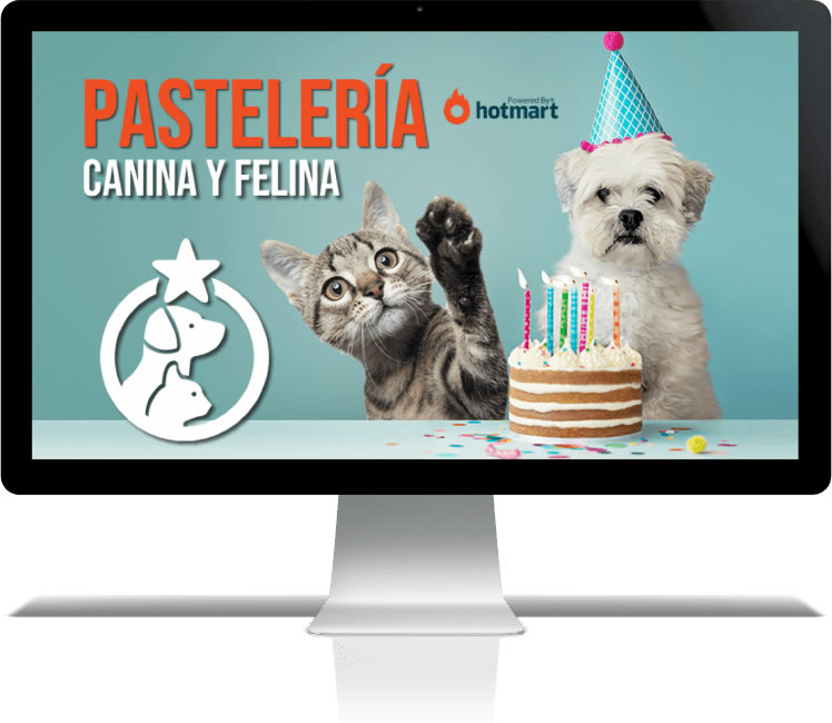 pastelería canina y felina